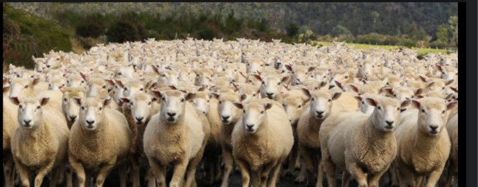 Government demands you must get micro chipped or else you can't buy anything nor sell anything or live in society without being chipped. What you do?