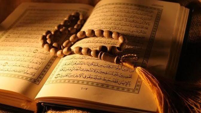 Have you read the Holy Qur'an? Which author did you read?