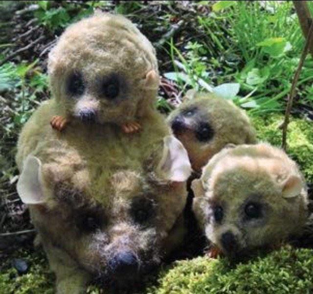 Are you having haggis tonight?