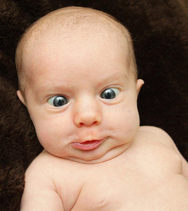 Do you like babies or do you find them annoying?