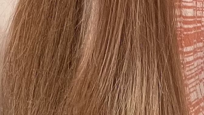 Should I dye my hair brown? I’m currently a redhead (shade below)?