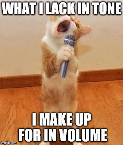 How would you react if you were arrested at a concert for singing out loud, and arresting officer stated disturbing the peace is against the law?
