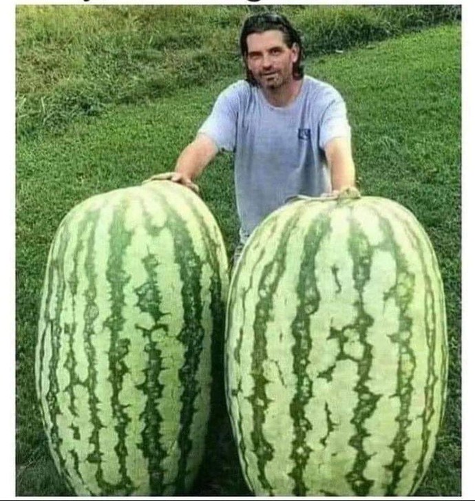 Have you ever got a fruit or vegetable and not known what to do with it?