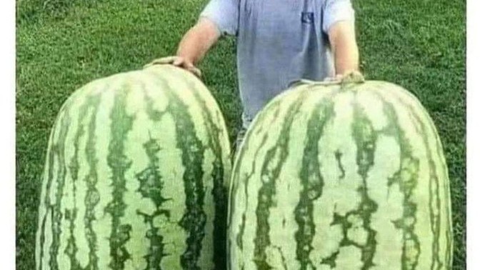 Have you ever got a fruit or vegetable and not known what to do with it?