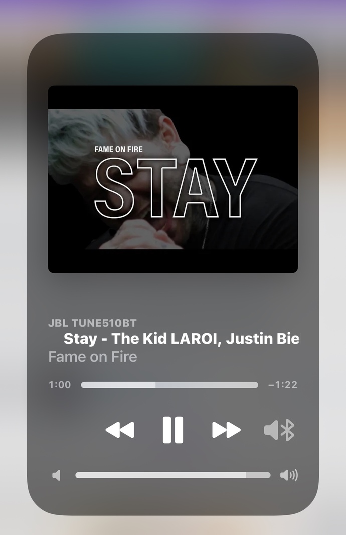 Do you like the song “Stay” by Fame on Fire?