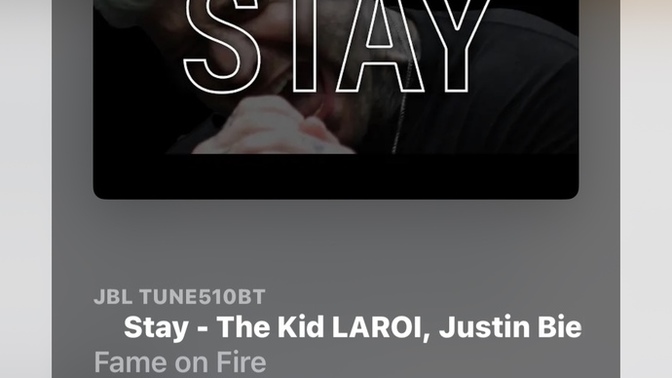 Do you like the song “Stay” by Fame on Fire?