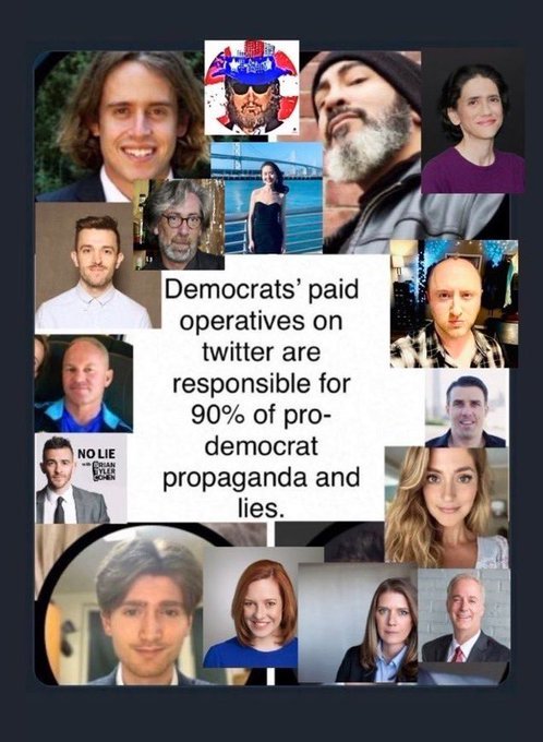 Have you encountered a paid DNC operative, if so whats your opinion of them?