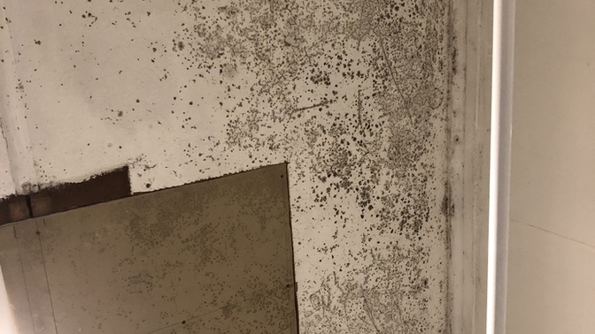 Is this enough mould to make someone sick?