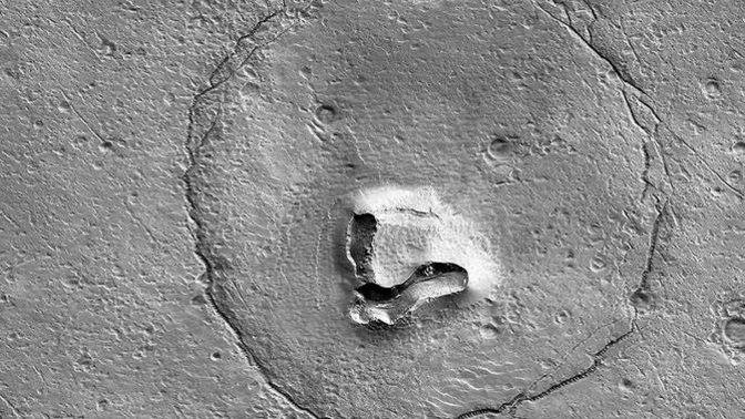 Is there a BEAR on MARS?