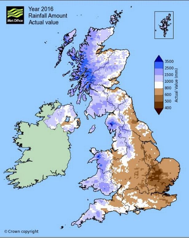 What do you DISLIKE the most about RAIN?