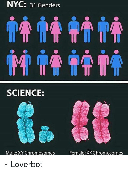Parent elected to the school board exposes woke, fake science in textbook that denies biological sex is binary! What are your thoughts?