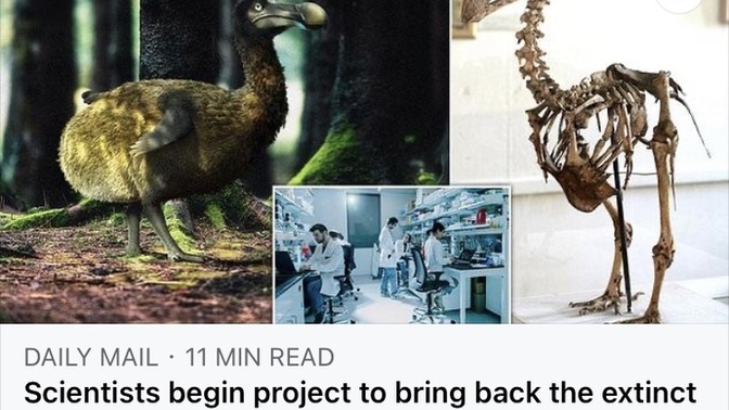 Should extinct animals be brought back if they died out from natural causes that’s wasn’t being hunted by us?