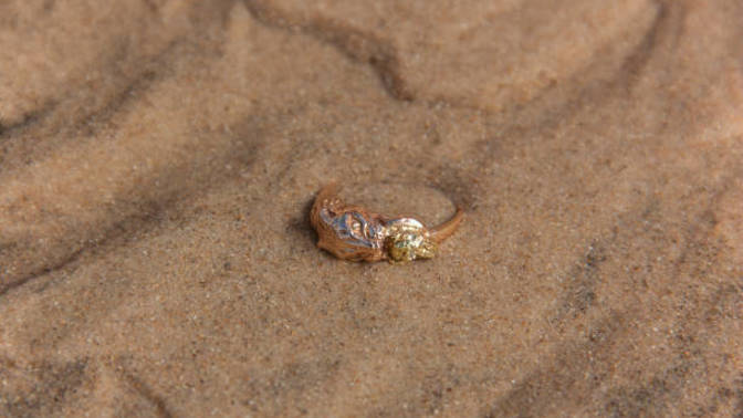 Girlfriend lost ring I got her a couple months ago, she wants to pay me back for it but I'm not sure she should, what would you do in this situation?
