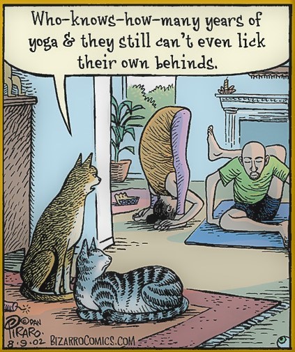 Do you do Yoga?