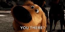 Just don't get distracted... squirrel!!