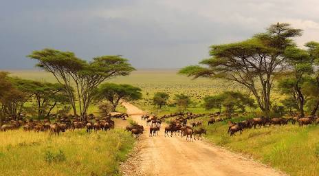 Serengeti National Park