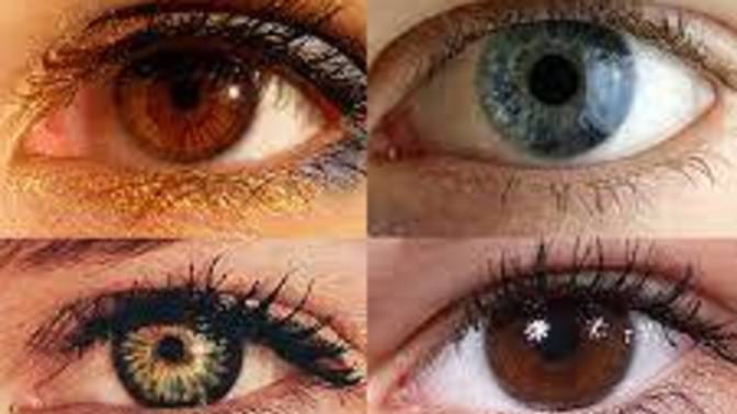 What is your favourite eye colour for a partner?