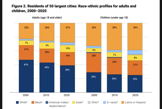 Is it true that white people's biggest fear is the likelihood they'll come back in their next life as a 3rd-world minority?