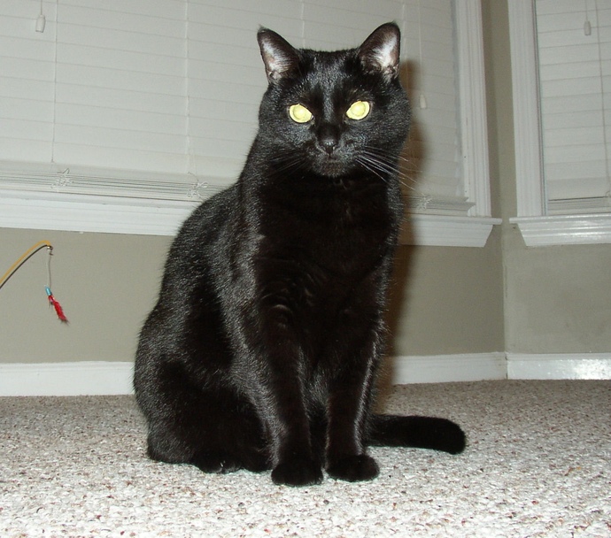 Are you superstitious?