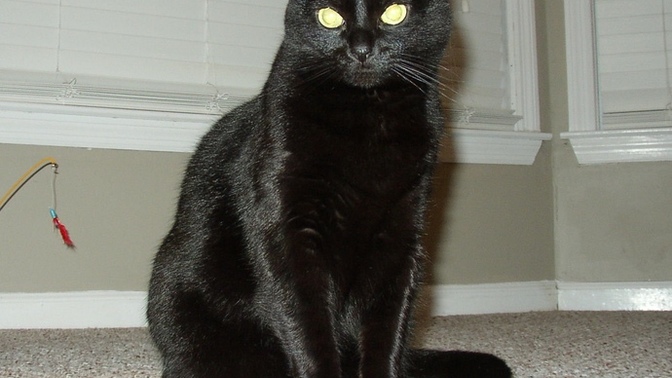 Are you superstitious?