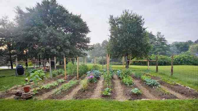 Would you grow a garden if you had space for one?