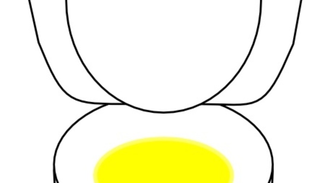 Are you okay with the “yellow, let it mellow” policy when sharing a restroom with your partner?