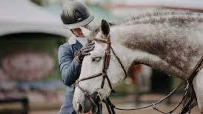 What do you guys think of equestrians?