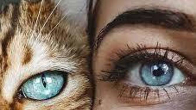 Do you believe eyes really are the mirror of your soul?