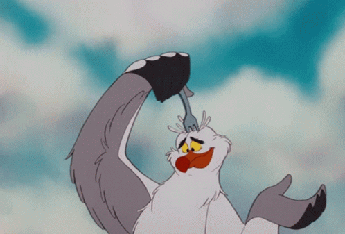 What kind of animal could this be?