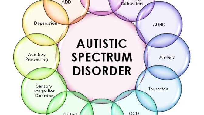 Can someone please help out a young man with high functioning autism?