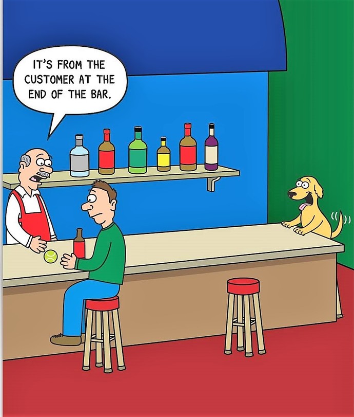 Have you ever been to a bar that allows dogs on the premises? ?