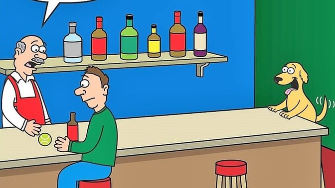Have you ever been to a bar that allows dogs on the premises? ?