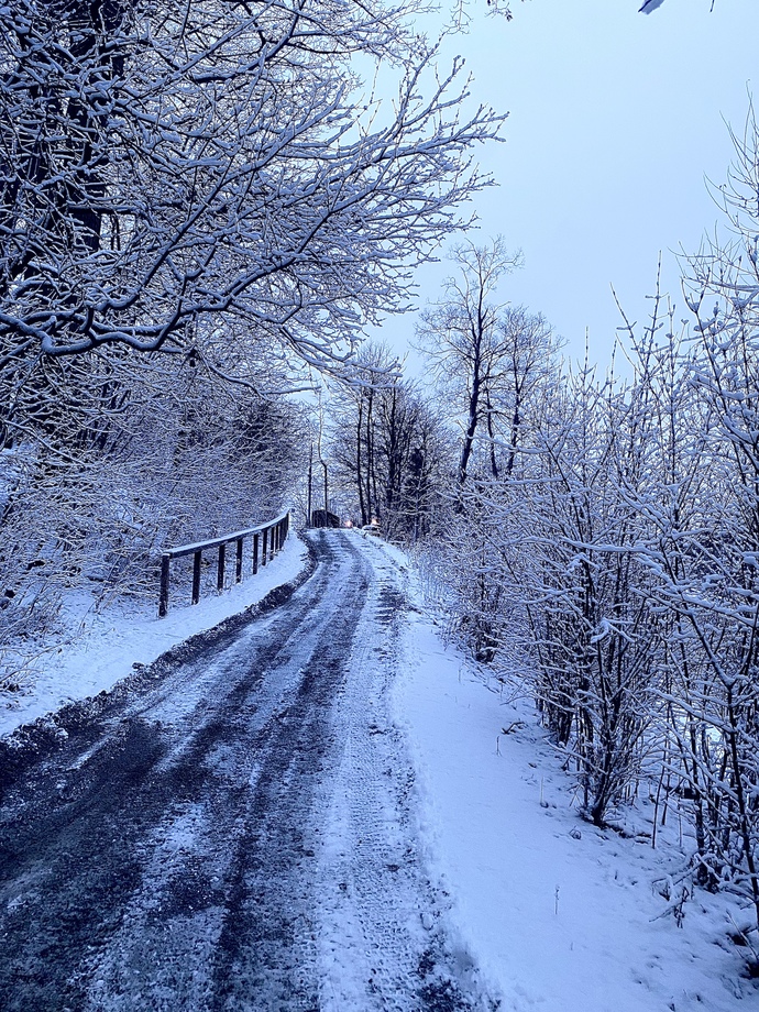 What is your favorite form of art?