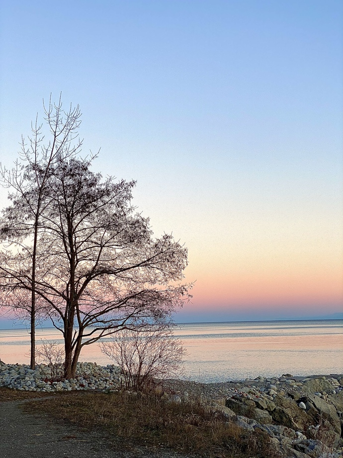 Definitely love photography. I’ve love to return back to film cameras one day too. 