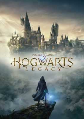 Have you been playing Hogwarts Legacy?