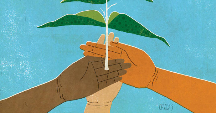 How do you associate your nationality and have you traced your genome to add clarity?