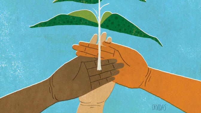 How do you associate your nationality and have you traced your genome to add clarity?