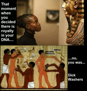 If there's only one race, "the human race" then why are white people the only ones with blue/green eyes and pale skin?