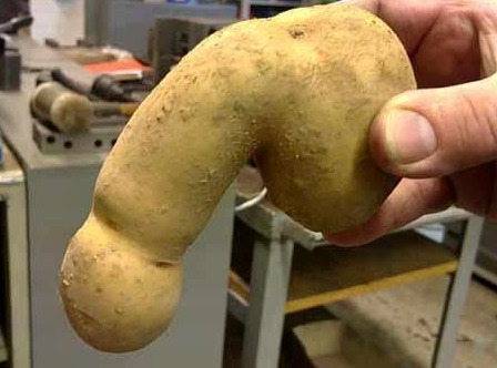 This is not a penis.