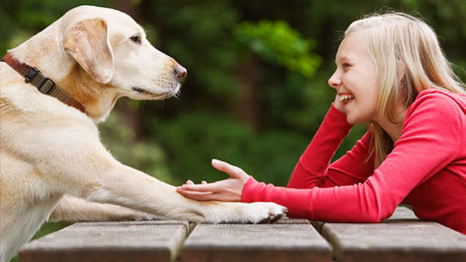 Would you rather speak all languages or be able to speak to all animals?