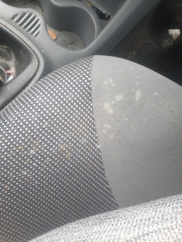 How do I get these stains out of my car seats? Will it come out