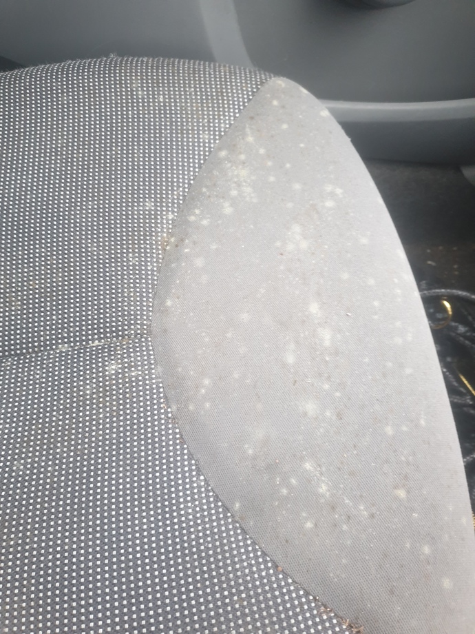 How do I get these stains out of my car seats? Will it come out
