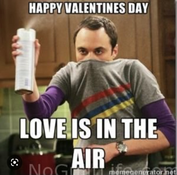 What are the most funny Valentine's Day memes that make you laugh?