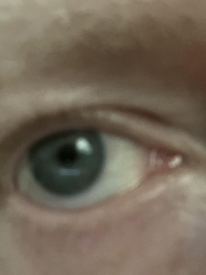 Are these lashes considered long (these are my natural lashes)?