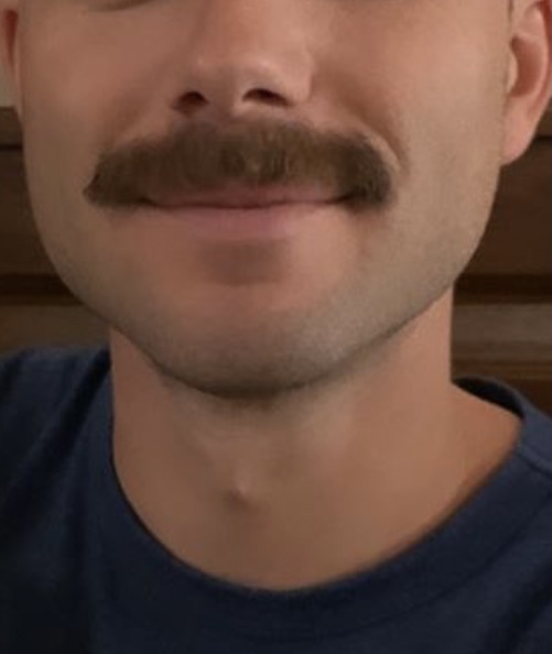 Moustaches …Are they in or out?