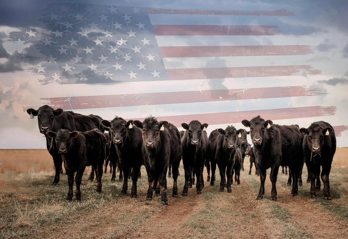 Don’t Bow Down to a Dictatorial Government. America Is a Prison Disguised as Paradise