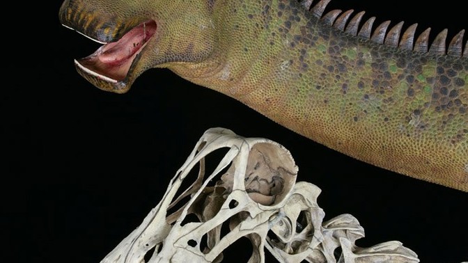 What do you think of a dinosaur called nigersaurus?