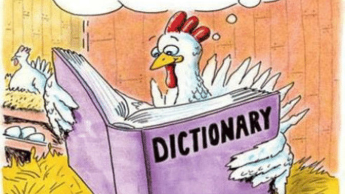 How often would you say you look things up in the dictionary?