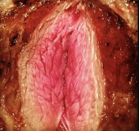 Have you ever asked "what meat is this"?