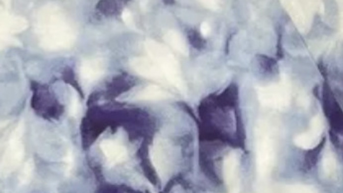 With what element do you associate this print?
